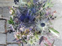 Nikon Coolpix 057  flowers